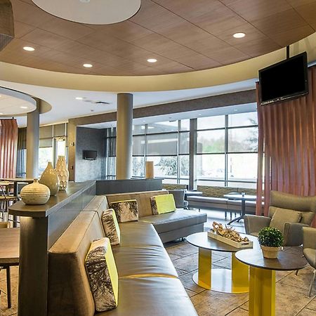 Springhill Suites Tampa North/Tampa Palms Extérieur photo