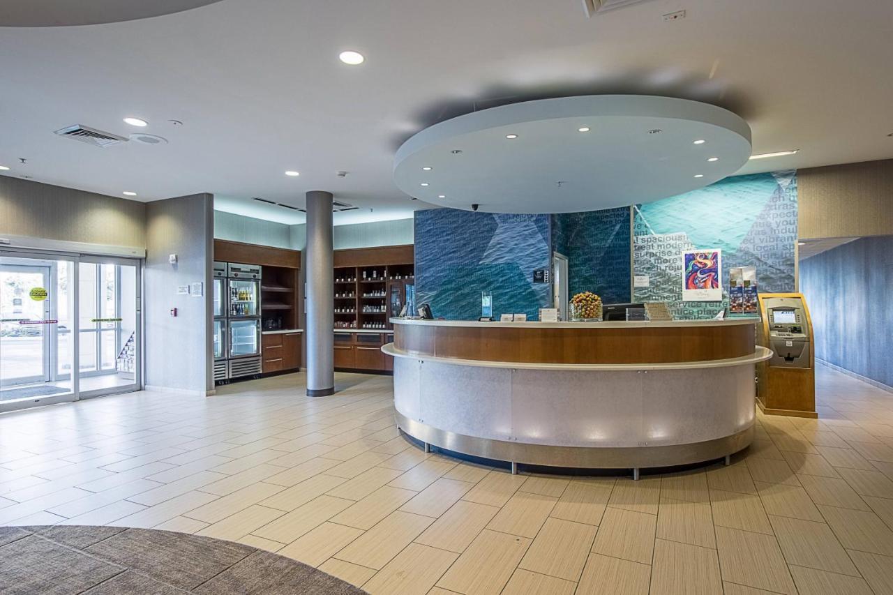 Springhill Suites Tampa North/Tampa Palms Extérieur photo