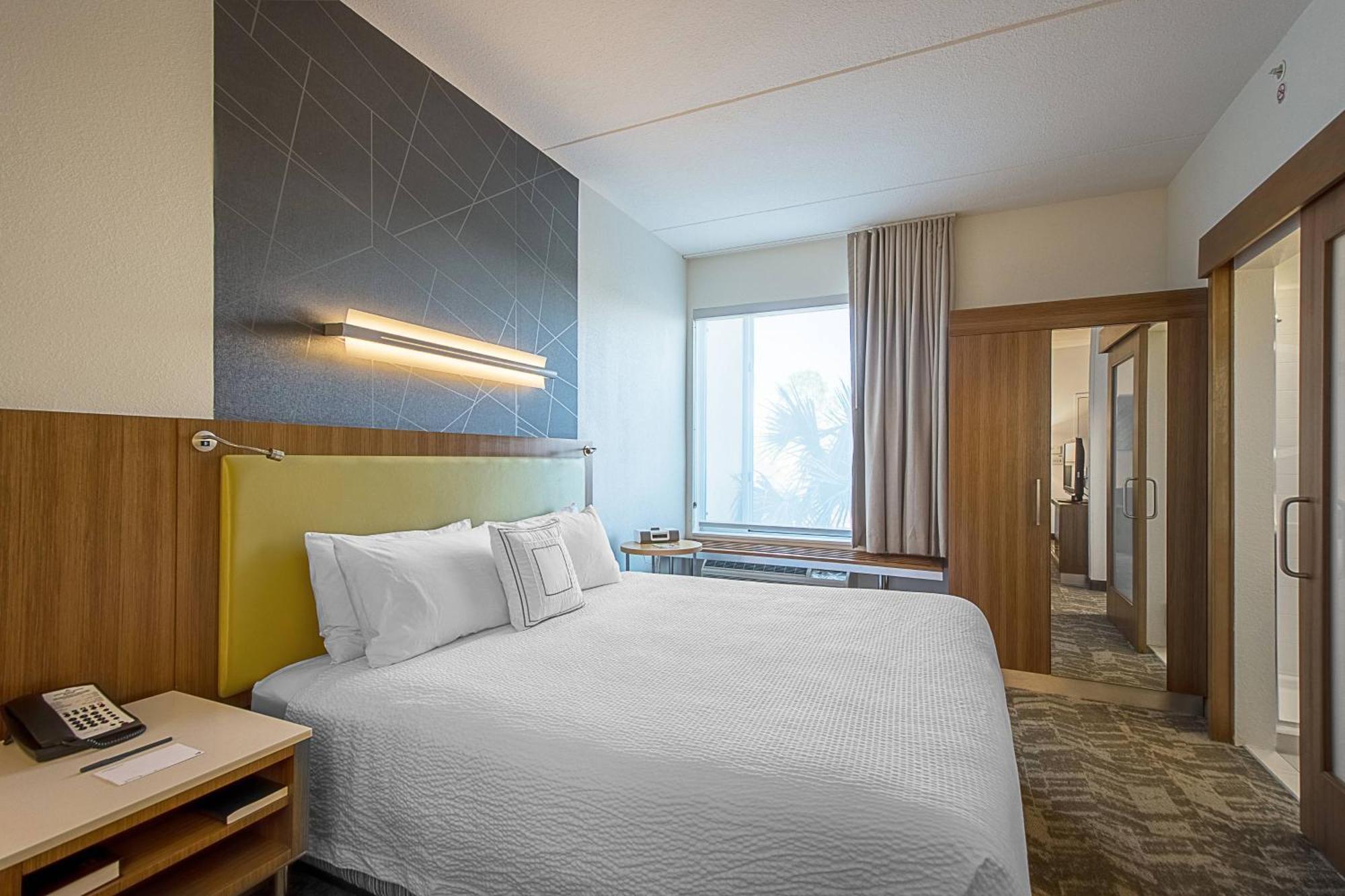 Springhill Suites Tampa North/Tampa Palms Extérieur photo