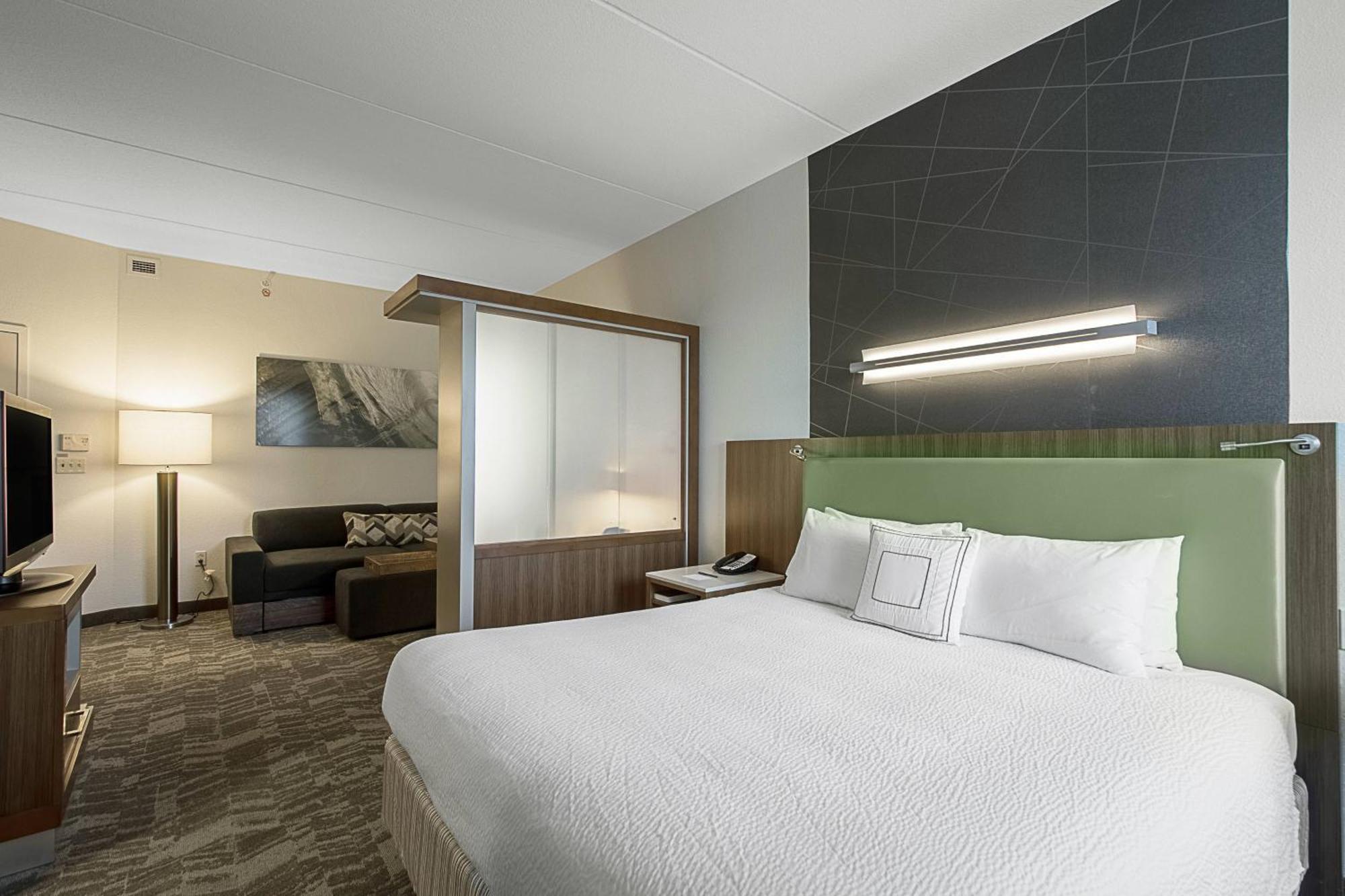 Springhill Suites Tampa North/Tampa Palms Extérieur photo