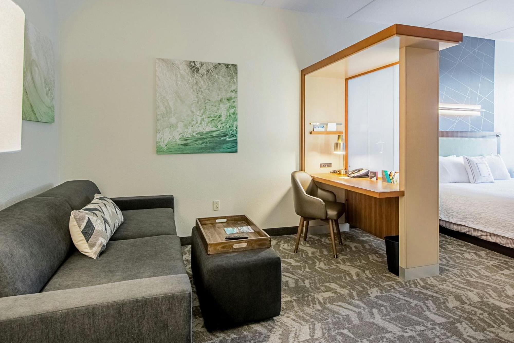 Springhill Suites Tampa North/Tampa Palms Extérieur photo