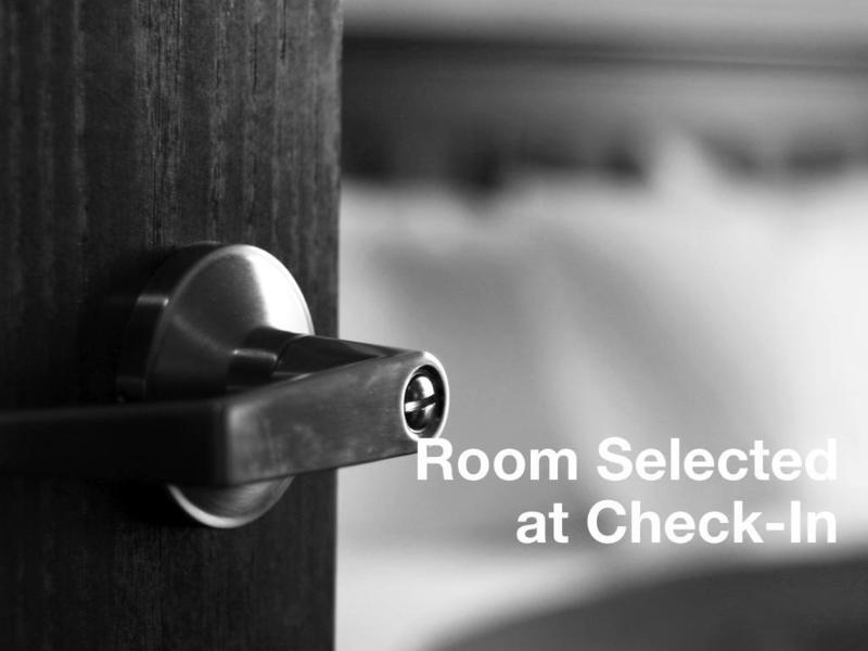 Springhill Suites Tampa North/Tampa Palms Extérieur photo